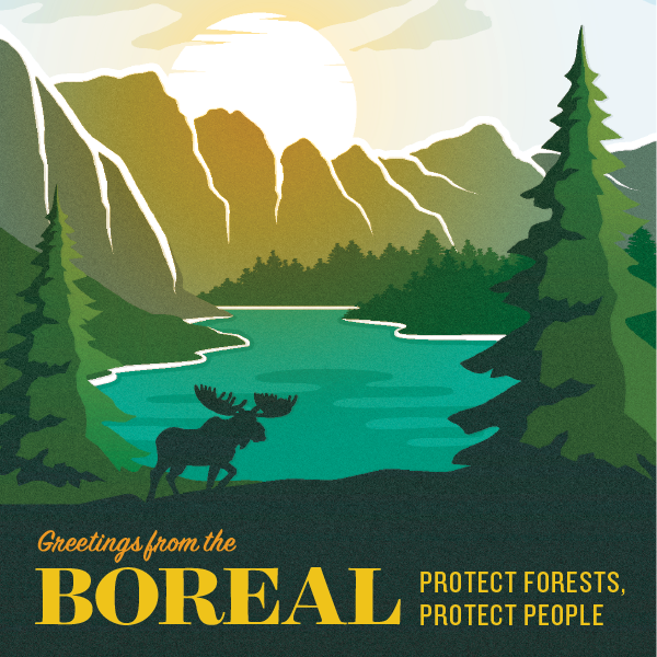 Greeting from the Boreal. Protect forests, protect people